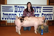 Showtime Sires Winner